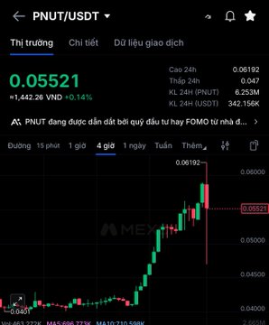 A cryptocurrency trading chart displays the PNUT/USDT pair on Binance at a price of 0.05521 USDT (approximately 1,442.26 VND), showing a sharp upward spike with an extremely long wick reaching 0.06192 before crashing back down. The visible liquidation alert reading "PNUT đang được dẫn dắt bởi quy đầu tư hay FOMO từ nhà đầu tư" and the dramatic wick on the 4-hour candlestick chart visually illustrates the post's description of a sudden long liquidation wave that wiped out recent profits for long position holders.