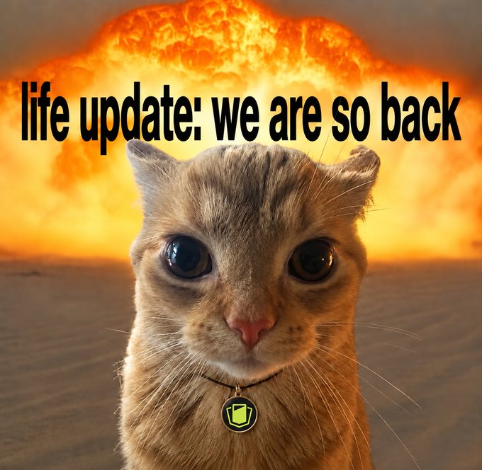 A meme image featuring a serious-looking cat wearing a green shield collar tag with the text 'life update: we are so back' overlaid against a nuclear mushroom cloud background.