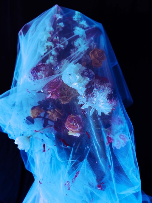 A bouquet of flowers wrapped in translucent blue-glowing tulle fabric against a black background, with roses and other blooms visible through the ethereal wrapping.