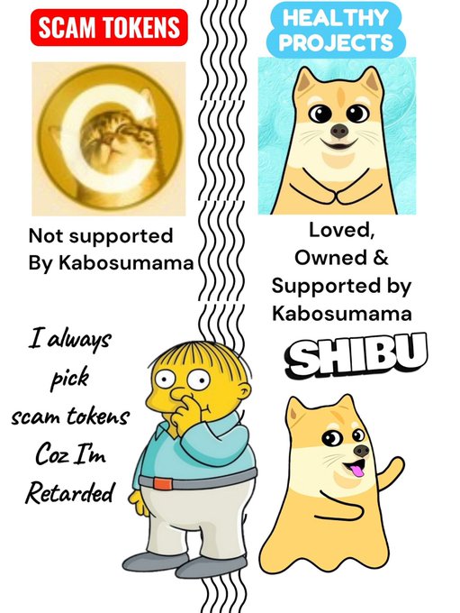 A meme about cryptocurrency contrasts 'SCAM TOKENS' (including a coin with a cat and the text 'Not supported By Kabosumama') with 'HEALTHY PROJECTS' (a Shiba Inu dog and the text 'Loved, Owned & Supported by Kabosumama SHIBU'), alongside Ralph Wiggum saying 'I always pick scam tokens Coz I'm Retarded'.