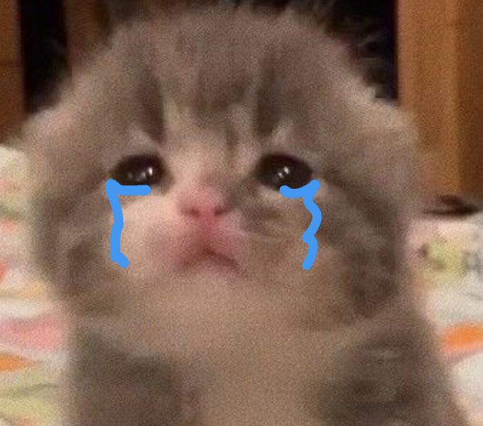 A close-up of a small kitten with cartoon blue tears drawn on its cheeks under its eyes, giving it a crying expression.