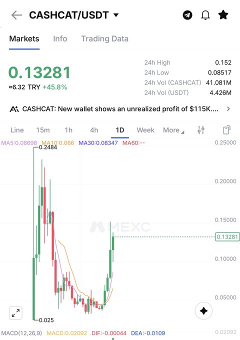 A MEXC exchange chart shows the CASHCAT/USDT trading pair at 0.13281, with a news alert about an unrealized profit of $115K.