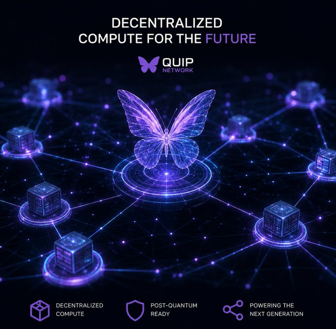 A glowing blue and purple promotional graphic for "QUIP NETWORK" displays the headline "DECENTRALIZED COMPUTE FOR THE FUTURE" above a wireframe butterfly surrounded by a network of connected server nodes, with three feature tags at the bottom: "DECENTRALIZED COMPUTE," "POST-QUANTUM READY," and "POWERING THE NEXT GENERATION." The image visually supports the post's message by illustrating how Quip Network aims to democratize access to advanced computing—representing quantum-like technology through its decentralized mesh of nodes rather than relying on the costly, institution-controlled hardware that currently limits access.