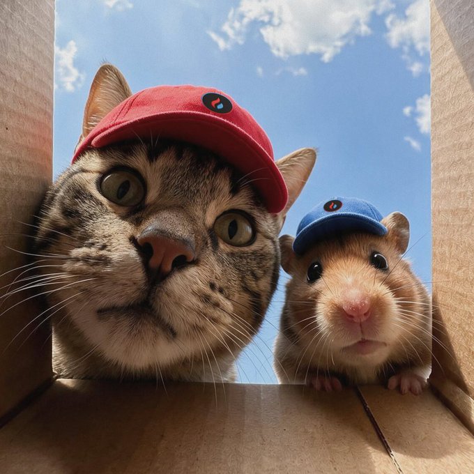 A humorous close-up of a cat and a hamster, both wearing tiny baseball caps, looking out from inside a cardboard box towards a bright blue sky.