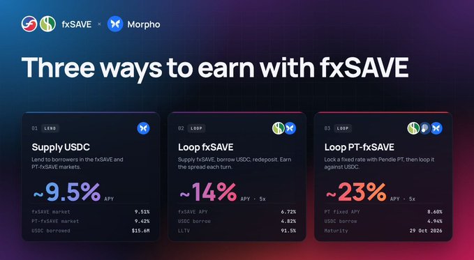 A promotional graphic for fxSAVE × Morpho titled "Three ways to earn with fxSAVE," highlighting three earning strategies with high APYs: Supply USDC (~9.5% APY), Loop fxSAVE (~14% APY with 5x leverage), and Loop PT-fxSAVE (~23% APY with 5x leverage), aligning with the post's emphasis on stablecoin yields and leveraged earning strategies.