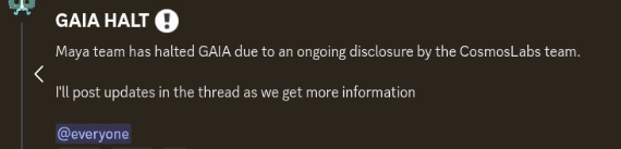 The image is a Discord announcement titled "GAIA HALT" with an alert icon, posted by the Maya team, stating that they have halted GAIA due to an ongoing disclosure by the CosmosLabs team, with promises to post updates as more information becomes available, tagged with @everyone.