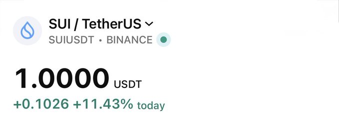 A price ticker shows SUI / TetherUS (SUIUSDT) on Binance trading at 1.0000 USDT, up 11.43% (+0.1026) for the day.