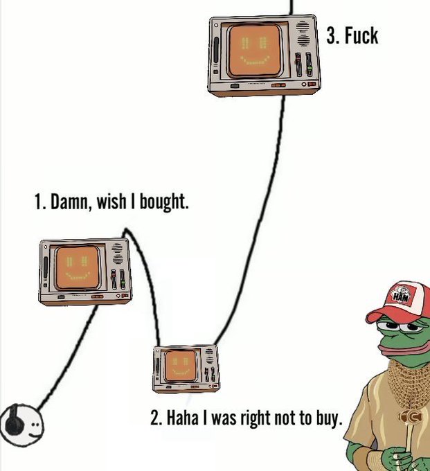 A meme featuring vintage CRT televisions connected by cords with text showing the stages of FOMO and market regret: '1. Damn, wish I bought.', '2. Haha I was right not to buy.', '3. Fuck', accompanied by a Pepe frog character wearing a HAM trucker hat.