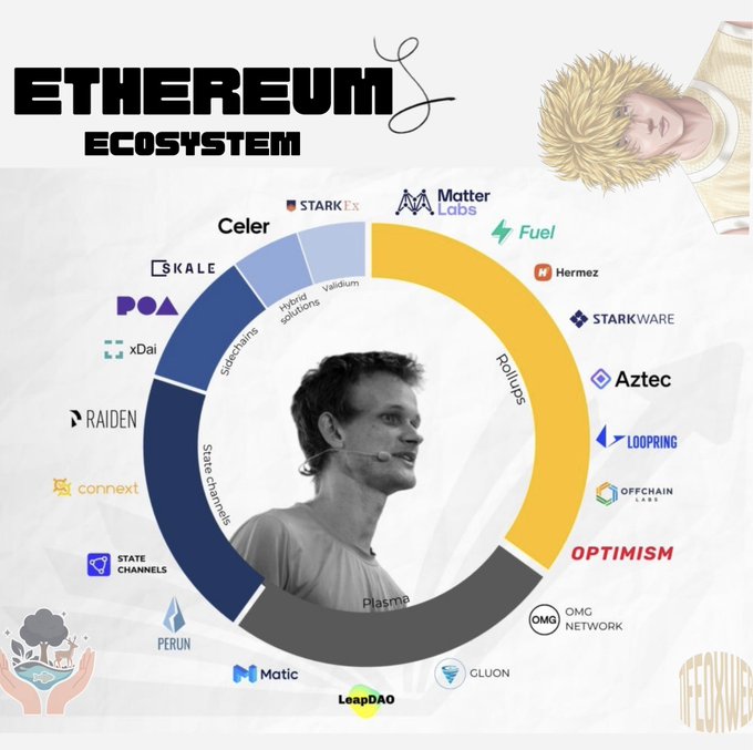An infographic titled 'ETHEREUM ECOSYSTEM' showing a circular chart with Vitalik Buterin in the center, categorized into Rollups, Plasma, State channels, and Sidechains featuring logos of various projects like Optimism, Starkware, Aztec, Loopring, Polygon, and Matic.