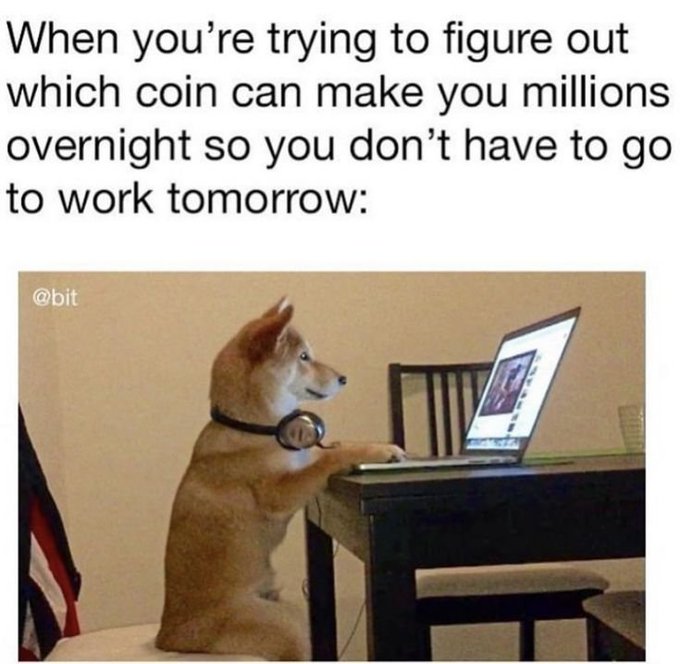 Meme with text 'When you're trying to figure out which coin can make you millions overnight so you don't have to go to work tomorrow' showing a Shiba Inu dog sitting at a laptop wearing headphones, posted by @bit.