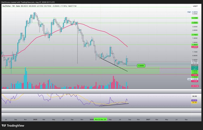 A TradingView chart for SUI/USDT on TradingView.com dated Aug 22, 2026, showing price action with a 200 moving average, RSI indicator at the bottom, and current price around 0.8352 with 24-hour change of -1.16%.