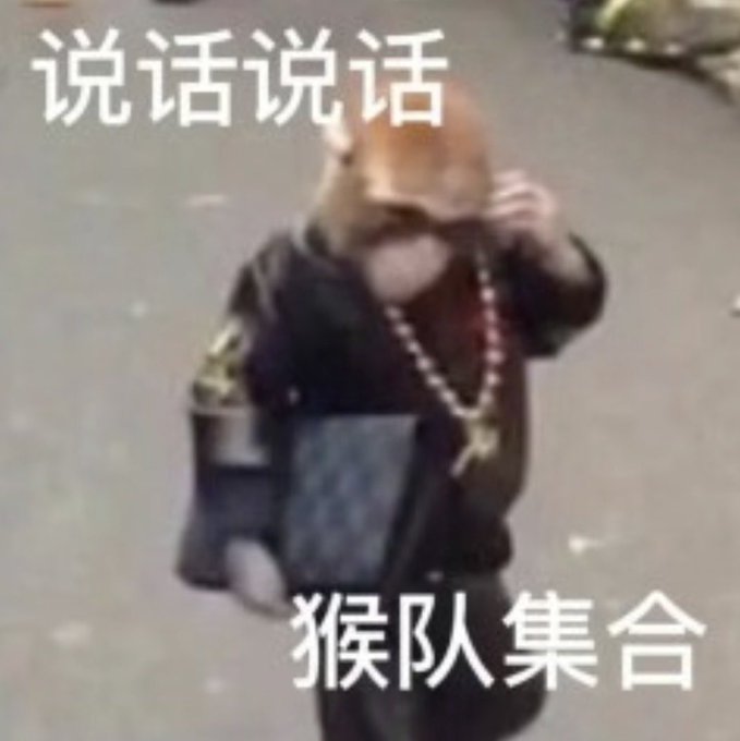 Meme image of a monkey wearing a leather jacket and gold chain with Chinese text reading "说话说话" (speak speak) at the top and "猴队集合" (monkey team assemble) at the bottom.