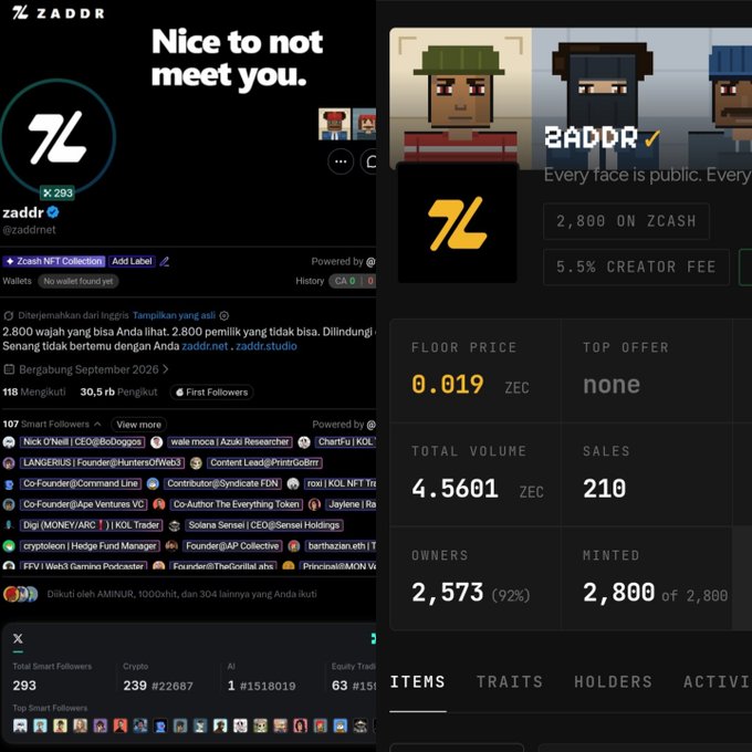 The image shows an X (Twitter) profile for "zaddr" (@zaddrnet) displaying "Nice to not meet you." with 293 followers, alongside a Zcash NFT Collection showing the "zaddr" NFT with a 0.019 ZEC floor price, 210 sales, and 2,800 of 2,800 minted. The image relates to the post by illustrating the zaddr project's modest follower count of 293 despite completing a full 2,800-mint NFT collection, supporting the caption's point that high follower counts don't necessarily equate to project success.