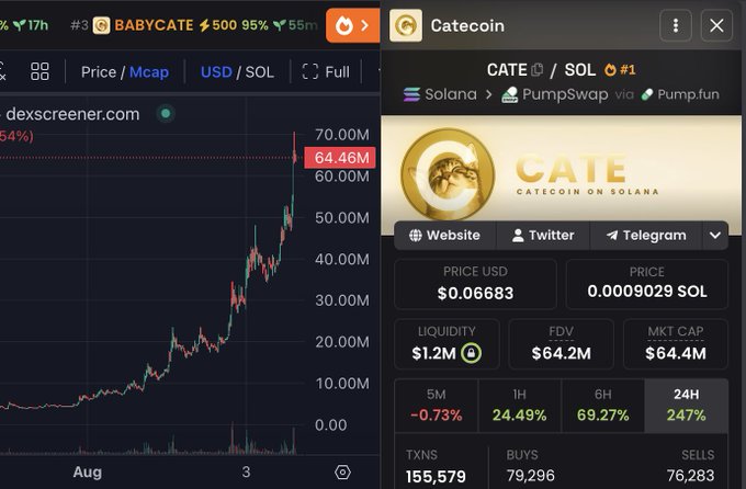 The image shows a cryptocurrency trading chart and token information panel for Catecoin (CATE) on the Solana blockchain via PumpSwap/Pump.fun, displaying a price of $0.06683 (0.0009029 SOL), a market cap of $64.4M, with a 247% gain in 24 hours and 69.27% over 6 hours. This chart serves as visual proof for the post's claim that CATE was called at $1M market cap and has since surged over 60x to $64.4M.