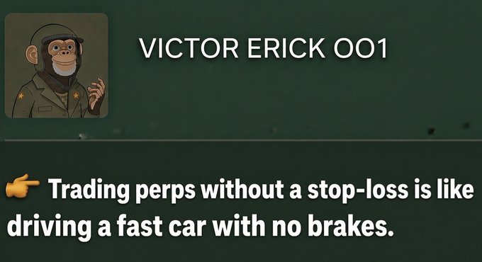 A profile card for 'VICTOR ERICK OO1' featuring a monkey avatar in military attire, with the quote '👉 Trading perps without a stop-loss is like driving a fast car with no brakes.'