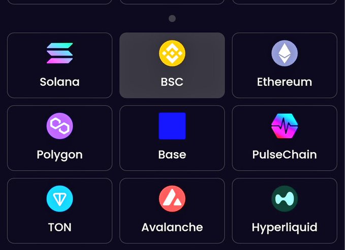 The image shows a grid of cryptocurrency network logos including Solana, BSC (Binance Smart Chain), Ethereum, Polygon, Base, PulseChain, TON, Avalanche, and Hyperliquid, with BSC currently highlighted/selected. This relates to the post by emphasizing how BSC (BNB Chain) is being overlooked while attention focuses on Solana, suggesting volume is shifting back to BNB Chain amid bullish market sentiment.