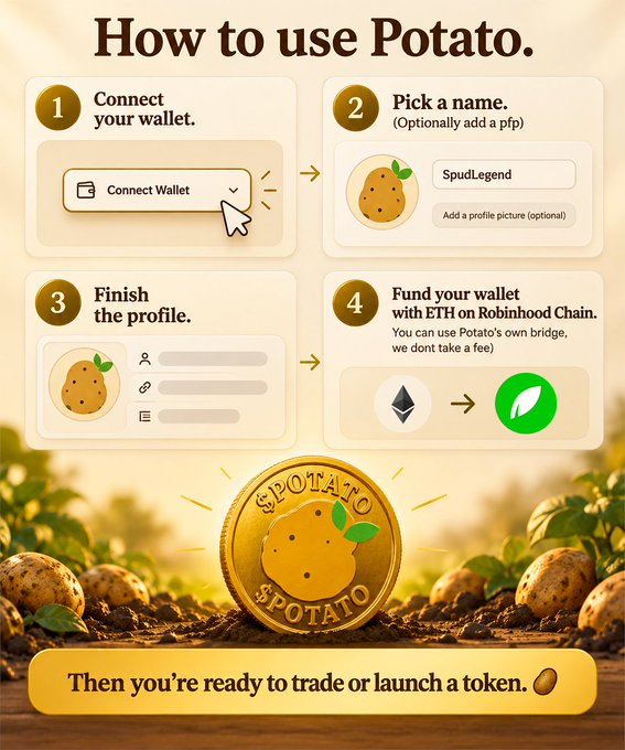 An infographic titled 'How to use Potato' showing four steps: 1) Connect your wallet, 2) Pick a name (e.g. SpudLegend), 3) Finish the profile, 4) Fund your wallet with ETH on Robinhood Chain, featuring a golden SPOTATO coin logo.