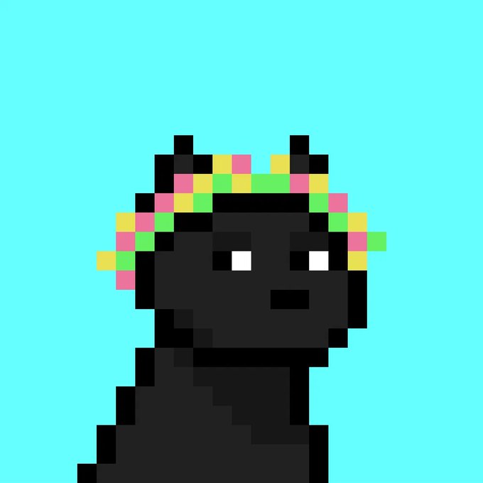 A pixel art image of a black cat-like character with a colorful pastel flower crown against a teal background.