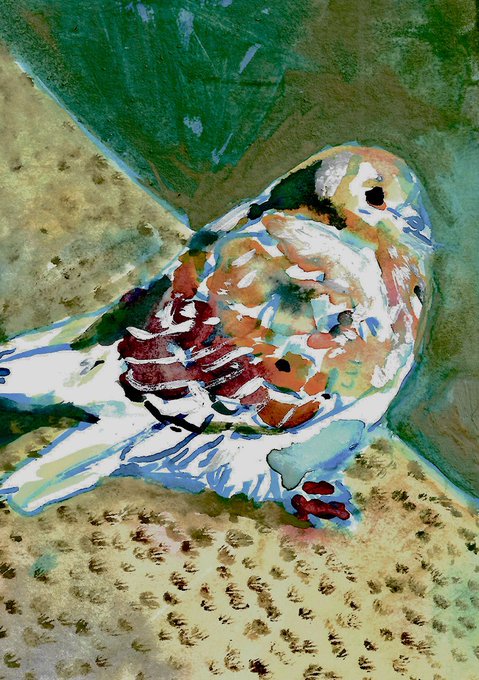 https://i.postimg.cc/ZR9FK5BZ/image3.png - A watercolor-style painting of a hermit crab with a colorful patterned shell resting on sandy ground.