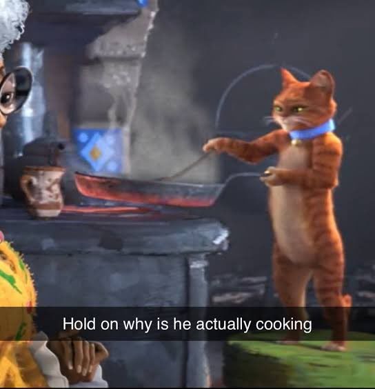 A screenshot from the animated movie "Puss in Boots: The Last Wish" shows an orange tabby cat standing on its hind legs, cooking at a stove with a pan. The caption reads, "Hold on why is he actually cooking."