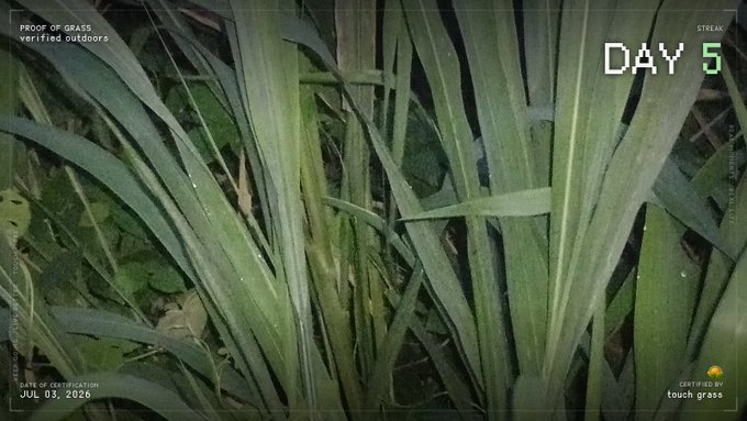 Long blades of grass fill the frame of this night-time photo overlaid with overlays reading "DAY 5," "PROOF OF GRASS," and the date "JUL 03, 2026," visually confirming the post's claim of touching grass after a rough day as part of the $TOUCHGRASS daily streak challenge.