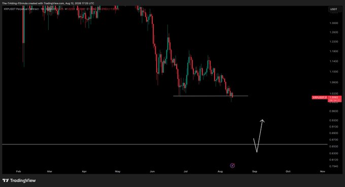 A TradingView chart of XRP/USD on a daily timeframe shows a clear downtrend from February through August 2026, with price currently near $1.043 and the analyst's annotation indicating an expected further drop toward $0.90–$0.94 (arrow pointing down) before a potential bounce, aligning with the post's call for patience in waiting for "generational entries" at lower levels.