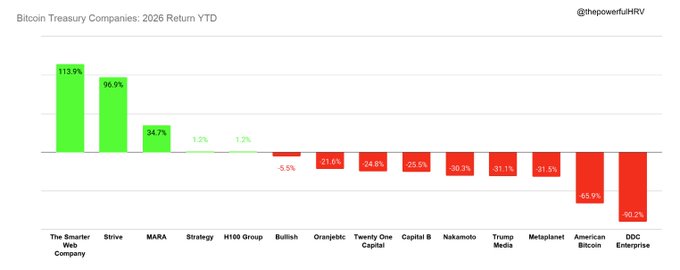 A bar chart titled 'Bitcoin Treasury Companies: 2026 Return YTD' by @thepowerfulHRV, showing The Smarter Web Company leading at 113.9% and DDC Enterprise at the bottom with -90.2%.