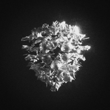 A grayscale photograph of a spherical cluster of crystalline, reflective leaves or petals floating against a dark background, presented as an NFT mint priced at 0.0069 ETH. The shimmering, abstract form evokes a digital "flower" or celestial body, fitting the cryptic, on-chain collectible vibe of the post.