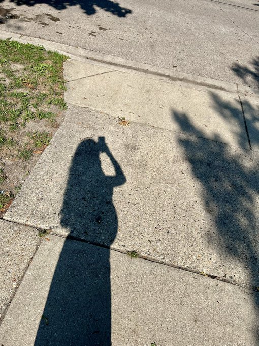 A shadow of a person holding up a phone or camera is cast on a concrete sidewalk, with grass visible on the left and tree shadows extending from the right.