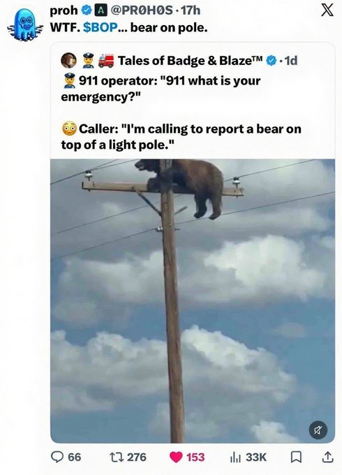 This tweet announces "WTF. $BOP... bear on pole," with a picture of a bear stuck on a utility pole, illustrating a humorous 911 call. The accompanying post reflects a massive gain ("1600x in 17 hours"), suggesting the image's success mirrors the financial performance.