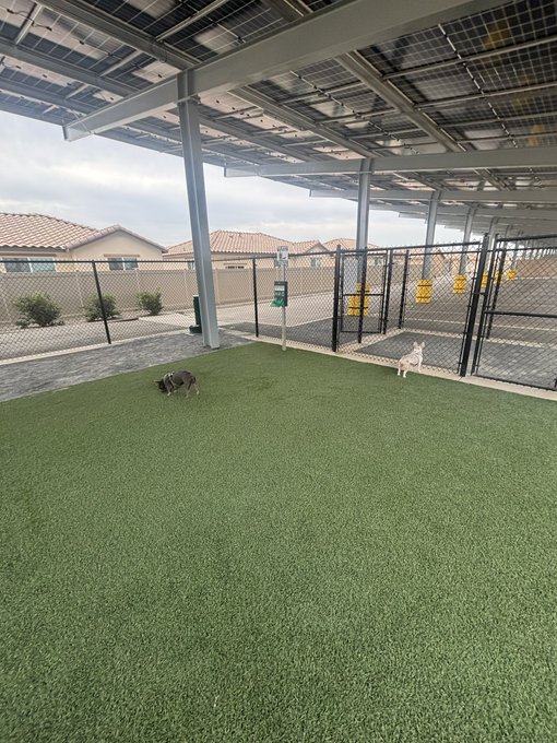 Two dogs stand on the artificial turf inside an outdoor dog park enclosure shaded by a large solar panel canopy.