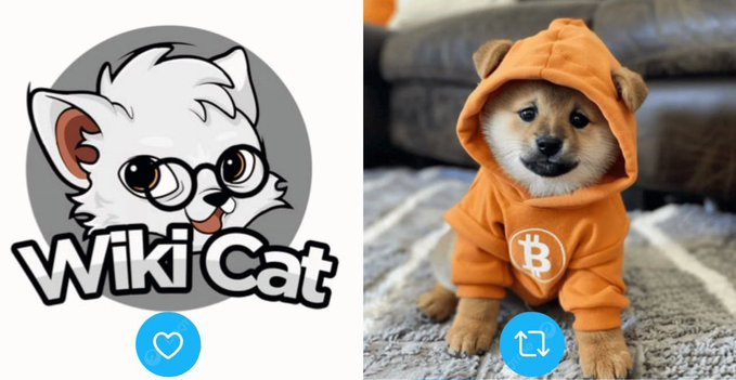 Split image featuring the Wiki Cat meme logo on the left and a Shiba Inu puppy wearing an orange Bitcoin hoodie on the right.