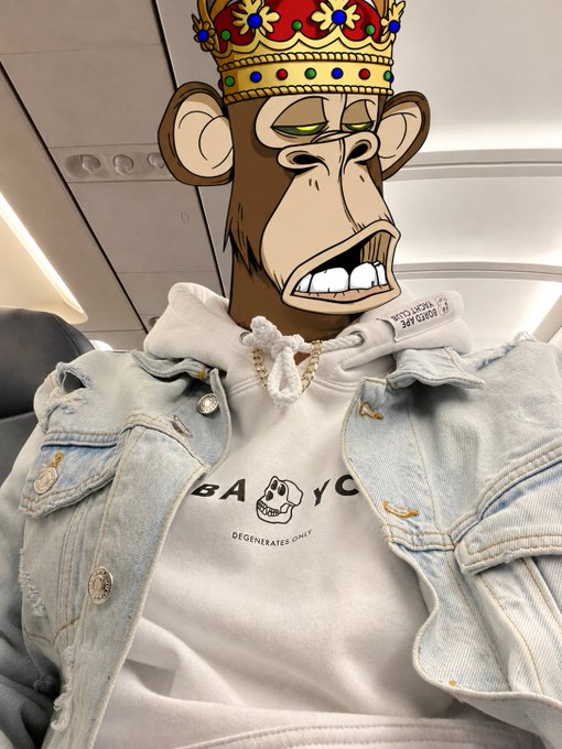 A person sitting in an airplane wearing a 'BABYDOGE DEGENERATES ONLY' hoodie and a denim jacket, with their face obscured by a cartoon ape wearing a jeweled crown filter.