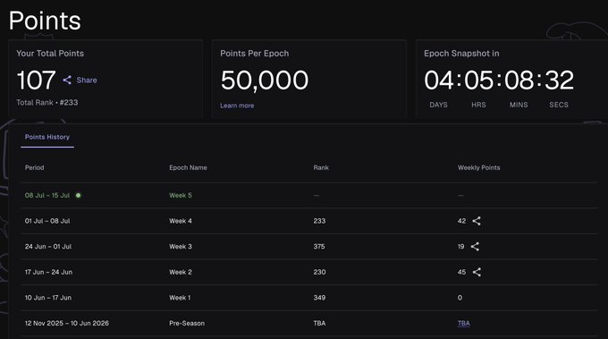 A points dashboard showing 'Your Total Points: 107' with Total Rank #2333, Points Per Epoch of 50,000, and an Epoch Snapshot countdown of 04:05:08:32, with a history table listing weekly rankings from Week 1 to Week 5.