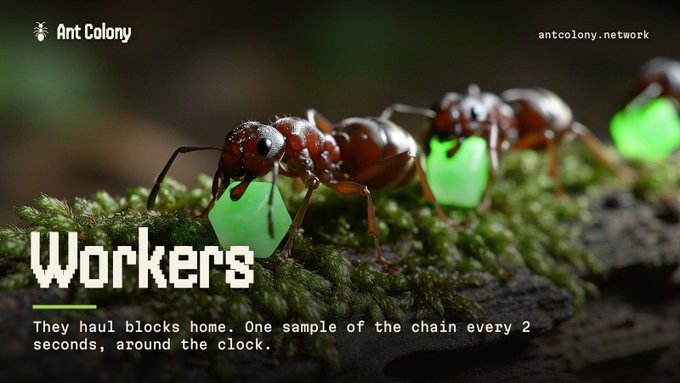 An "Ant Colony" promotional image showing ants carrying green glowing blocks, with text explaining "Workers: They haul blocks home. One sample of the chain every 2 seconds, around the clock," and the URL antcolony.network.
