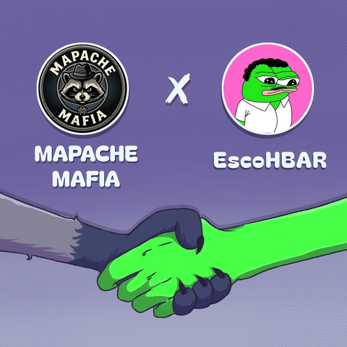 A purple promotional graphic showing a partnership between 'MAPACHE MAFIA' (a raccoon logo) and 'EscoHBAR' (a green Pepe-style character), with an illustration of a raccoon paw and green frog hand shaking below.