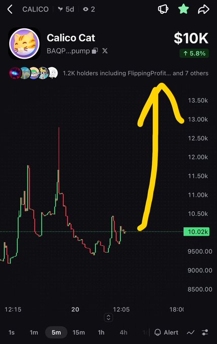 A cryptocurrency chart for "Calico Cat" (BAQP...pump) shows a price of $10K with a 5.8% increase, marked by a yellow hand-drawn arrow pointing upward.