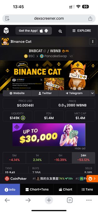 A mobile screenshot from dexscreener.com showing a token page for 'Binance Cat' (BNBCAT) on the BSC PancakeSwap exchange, displaying price, liquidity, and market cap data with cat-themed branding.