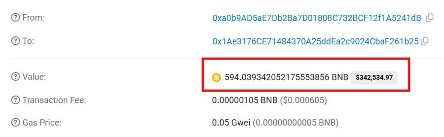 A BNB blockchain transaction details page showing a transfer of 594.039342052175553856 BNB valued at $342,534.97, with from and to addresses truncated.