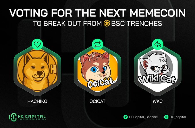 The image features a poster with three different cartoon dogs, each representing a cryptocurrency: $HACHIKO at the top left, $OCICAT towards the bottom center, and $WKC at the bottom right. Each dog has its own unique design, which adds to the visual appeal of the poster. The text on the poster indicates that there is an upcoming memecoin vote with options for liking, retweeting or replying. A caption below the image reads "Vote for the next memecoin to break out from BSCT trenches. $HACHIKO(@HachikoInuCTO), $OCICAT @wikicatcoin(@WKC)", and another caption below it states that this meme is cooking.