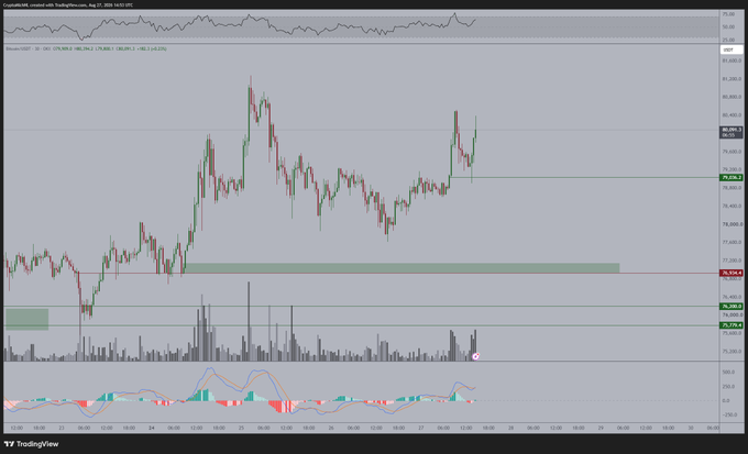 A TradingView candlestick chart showing price action around the 75,000-82,000 range with volume bars and an MACD indicator at the bottom.