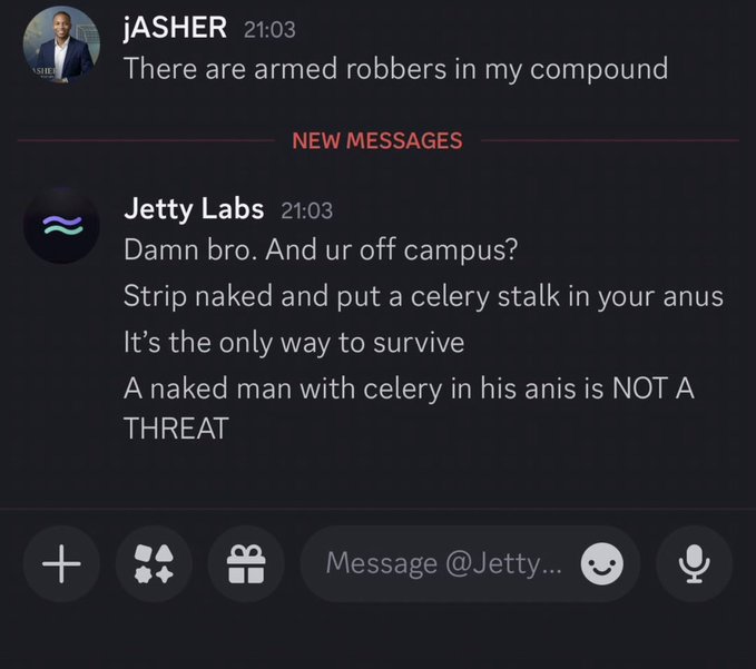 Discord message exchange where user 'jASHER' mentions armed robbers in their compound, and 'Jetty Labs' jokingly suggests stripping naked and putting a celery stalk in their anus to appear non-threatening.