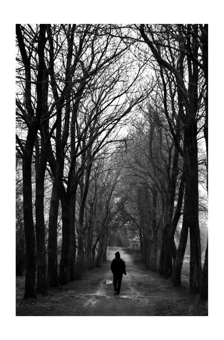 A black and white photograph of a lone figure walking down a tree-lined path.