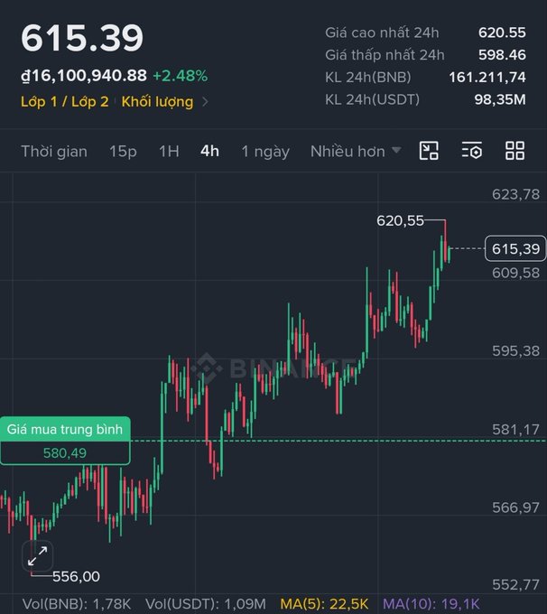 A Binance crypto trading chart showing BNB priced at 615.39, up 2.48%, with a 4-hour candlestick view and a 'Giá mua trung bình' (Average buy price) of 580.49.