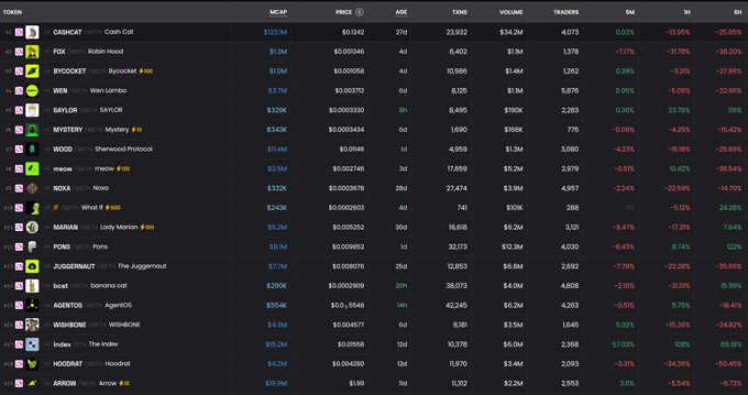 A cryptocurrency token tracking table displays meme coins including CARCAT, FOX, RYOCKET, WEN, SAYLOR, MYSTERY, WOOD, melow, NOXA, IF, MARA, PONS, JUGGESWAUT, brat, AGENTOS, WISHBONE, Index, HOODRAT, and ARROW, showing market cap, price, age, transactions, and percentage change data.
