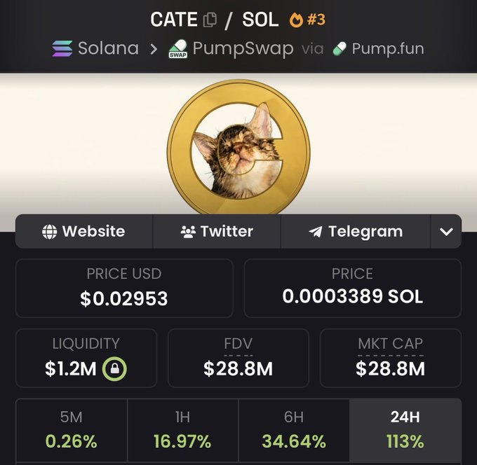 A screenshot of the CATE/SOL trading dashboard on PumpSwap via Pump.fun shows the token at $0.02953 with $1.2M liquidity and a $28.8M market cap, having gained 113% in 24 hours—visual evidence supporting the poster's bullish claim that CATE could be the next major meme coin.