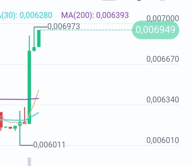 A stock chart displays green and red candlesticks with moving average lines labeled "(30): 0,006280" and "MA(200): 0,006393", showing a price peak at 0,006973.