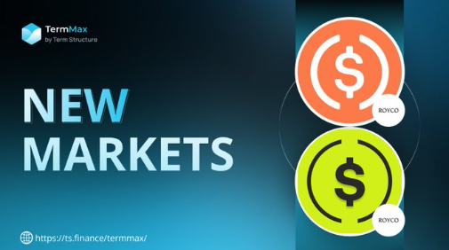 TermMax by Term Structure announcement reading 'NEW MARKETS' alongside two ROYCO token icons, with a link to https://ts.finance/termmax/.