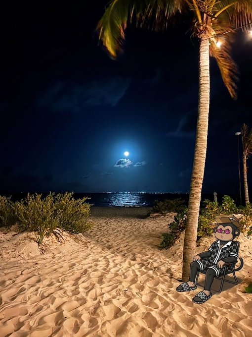 A cartoon-style character wearing sunglasses and a tracksuit sits on a beach chair under a palm tree at night, with a bright full moon reflecting on the ocean.