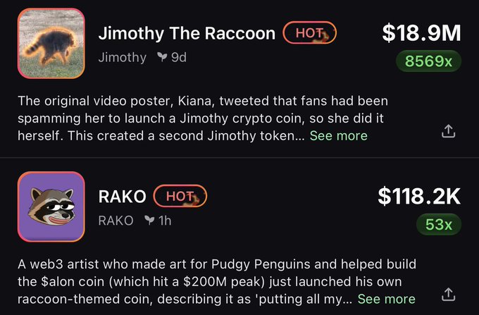 The image shows two trending "HOT" meme coin listings on a crypto tracking platform: Jimothy The Raccoon ($JIMOTHY) with a market cap of $18.9M and an 8569x gain, and RAKO ($RAKO) at $118.2K with a 53x gain. Both feature raccoon mascots, setting the stage for the accompanying post's bullish prediction that RAKO will "flip" JIMOTHY in value.